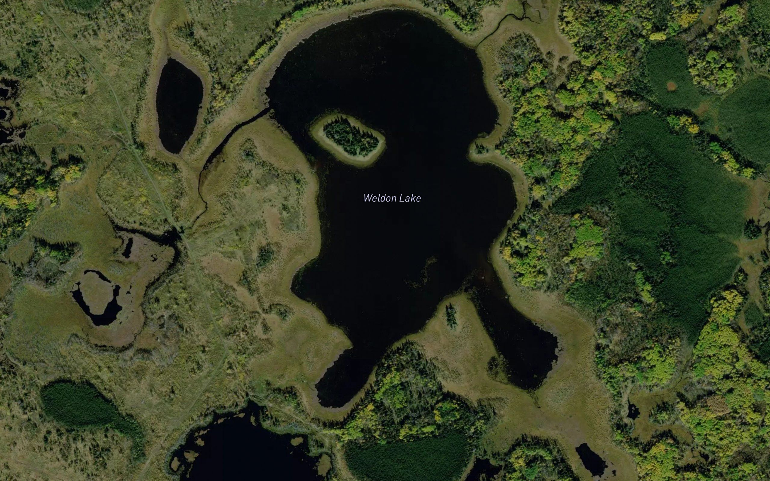 Weldon Lake