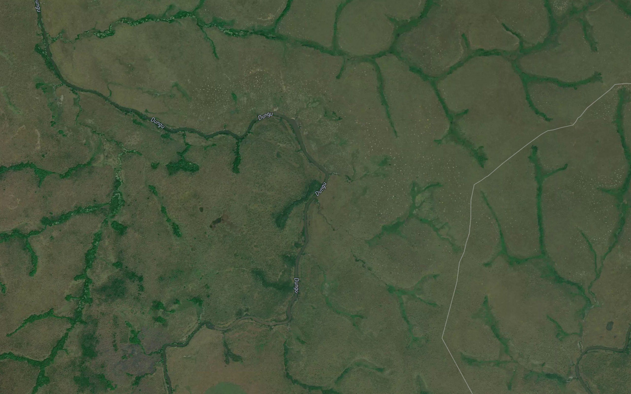 Nanganzi