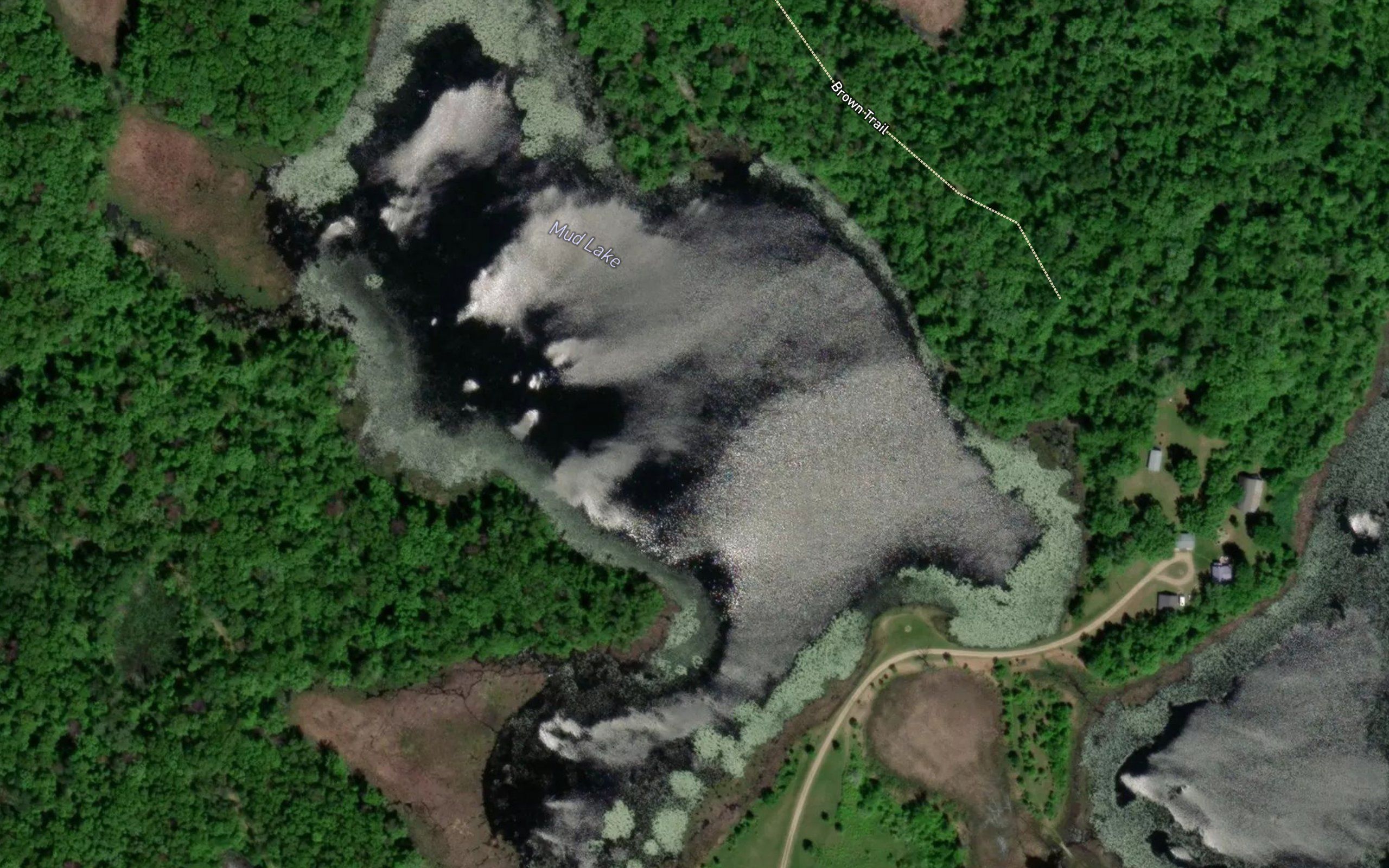 Mud Lake