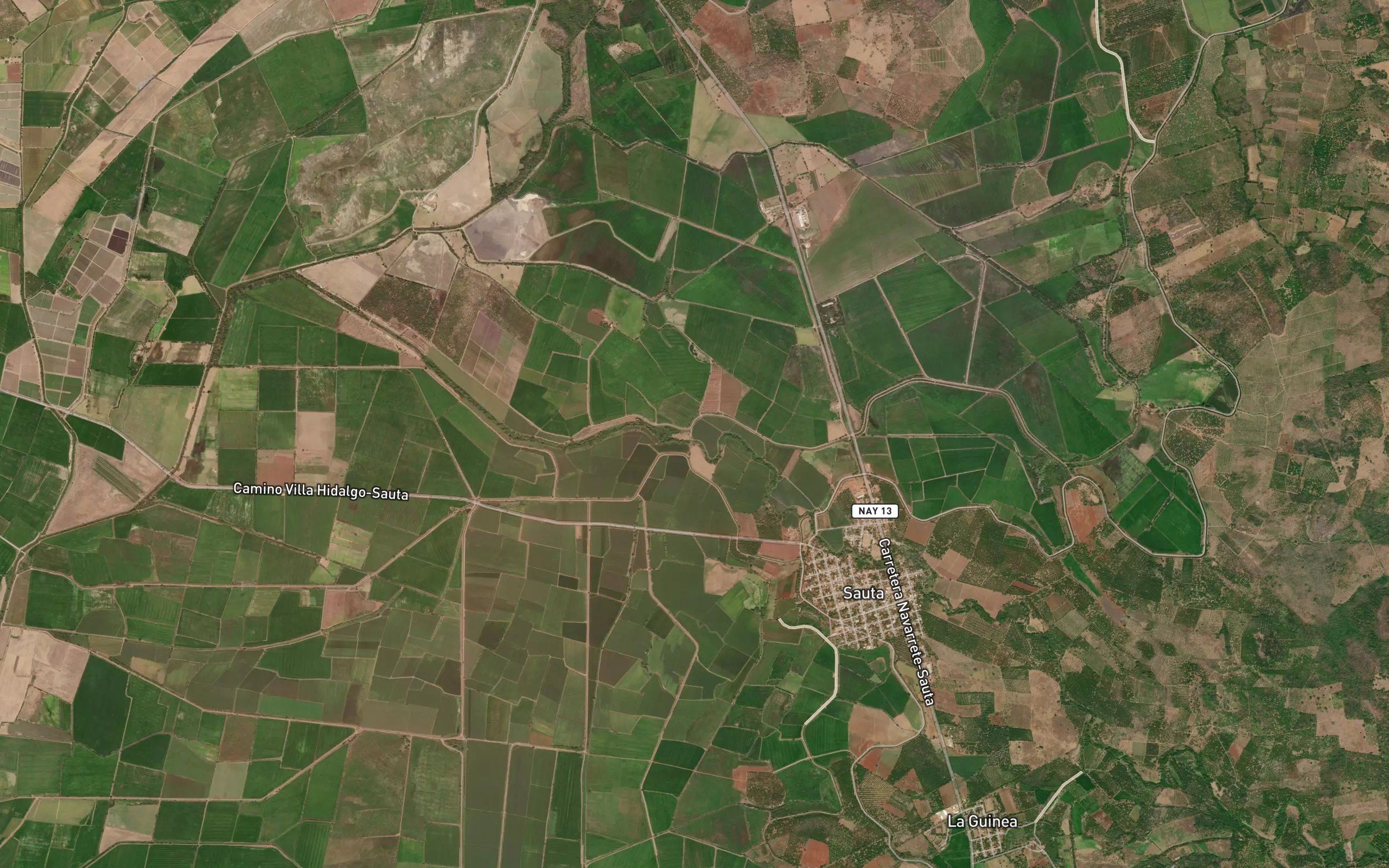 Sauta