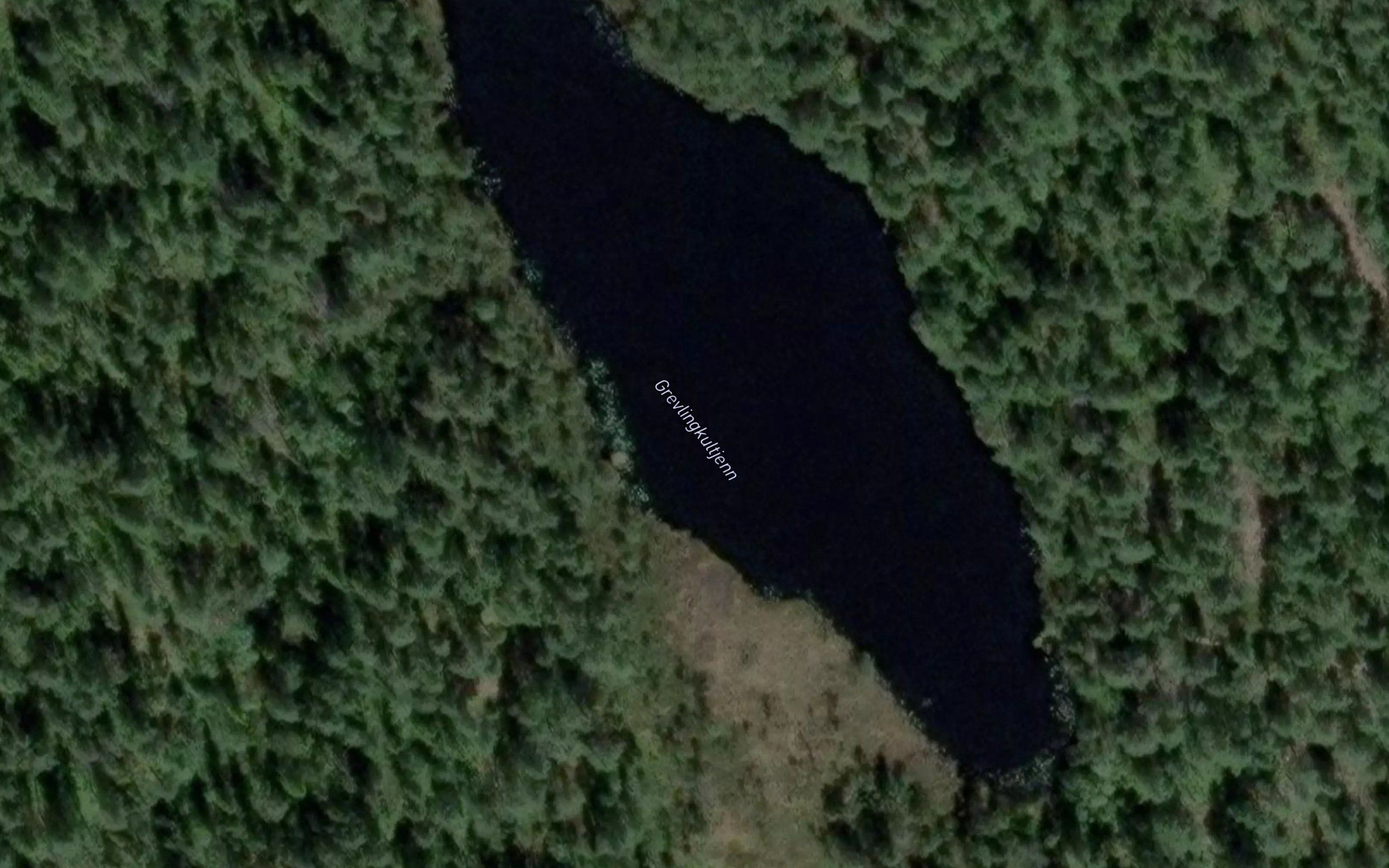 Grevlingkultjern