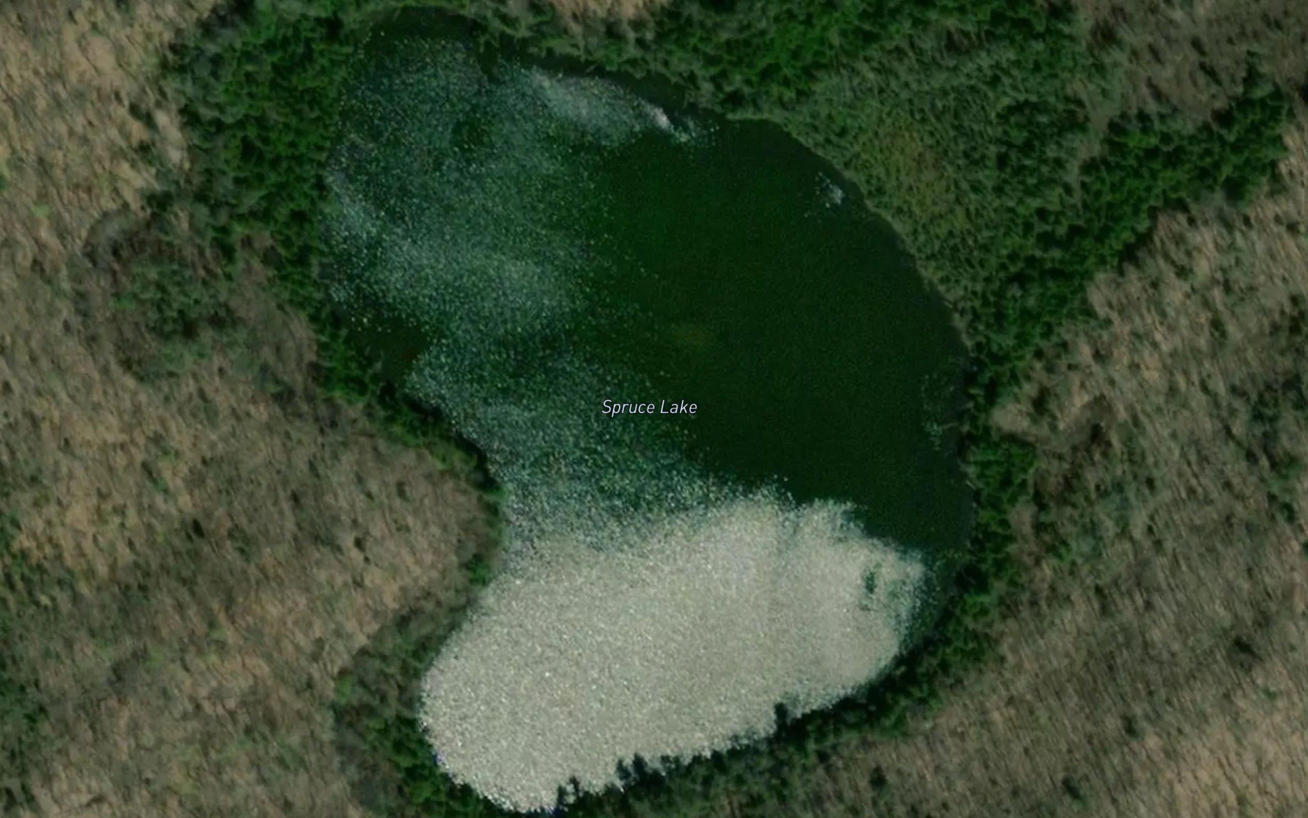 Spruce Lake