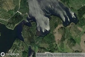 Levealahti
