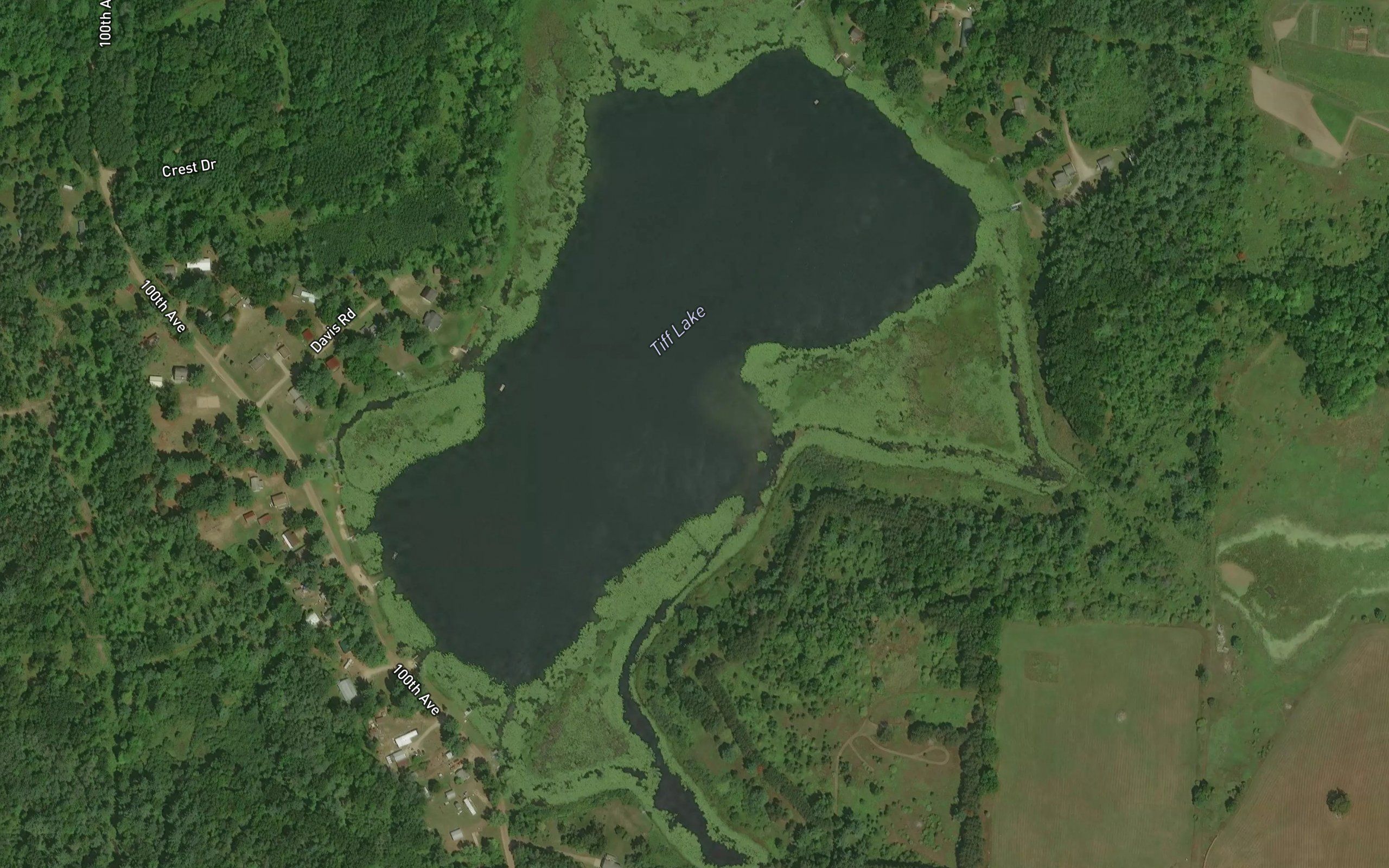 Tiff Lake