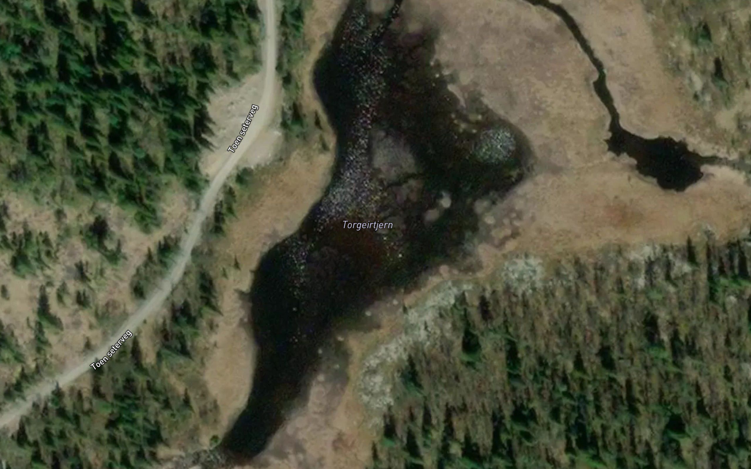 Torgeirtjernet