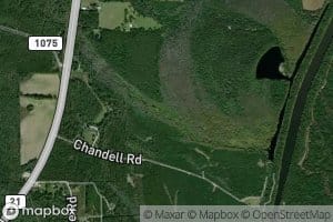 Pierce Reedbreak Branch