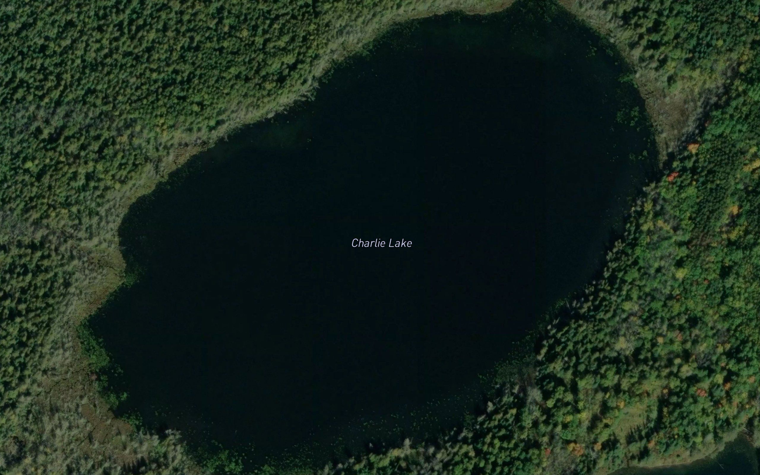 Charlie Lake