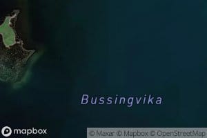 Bussingvika