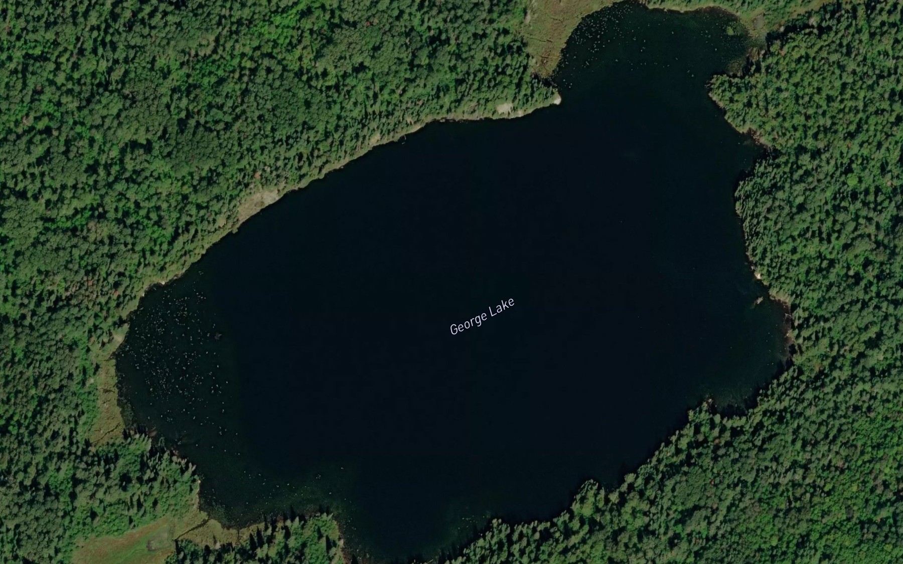 Satellite map of the George Lake