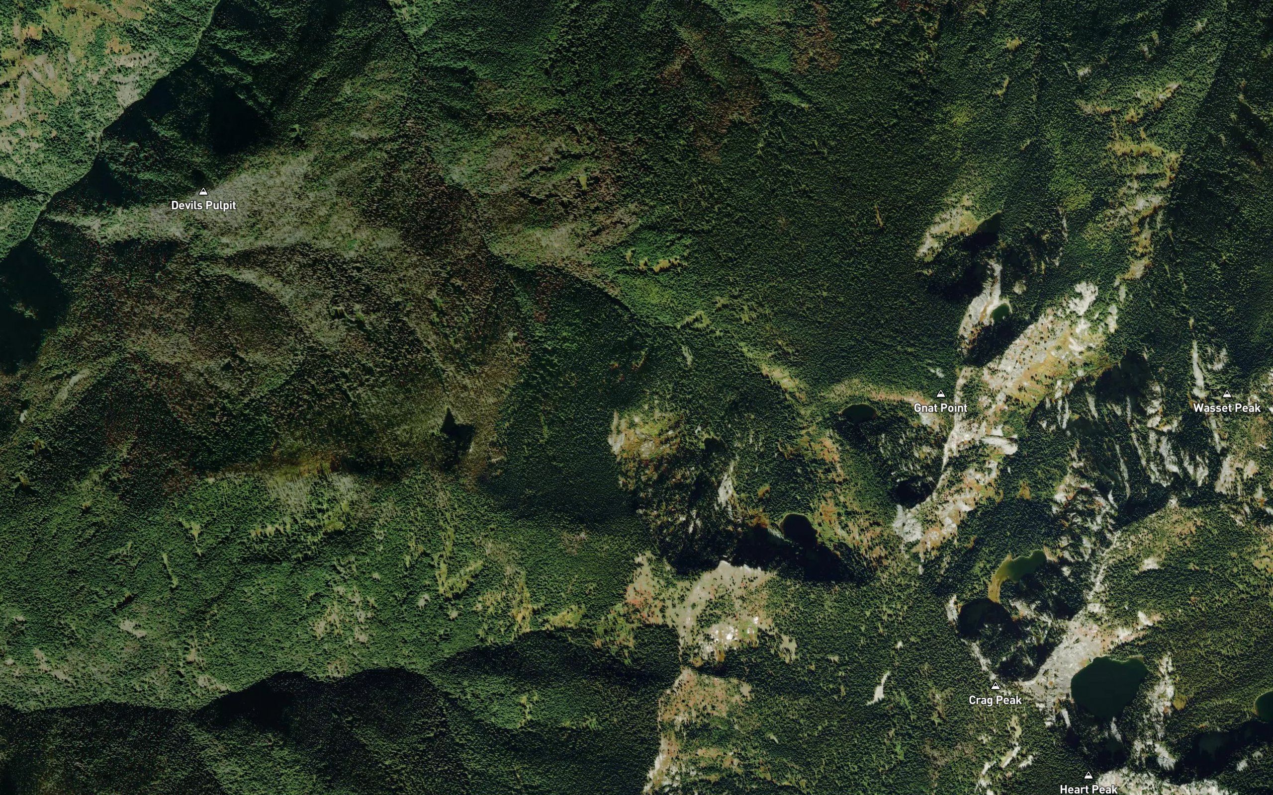 Grizzley Lake