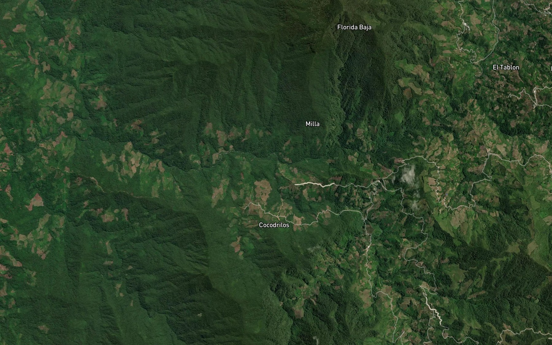 Satellite map of the Quebrada La Guadua