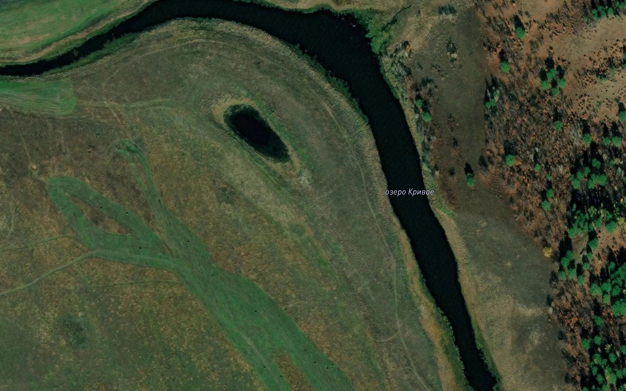 Ozero Krivoye