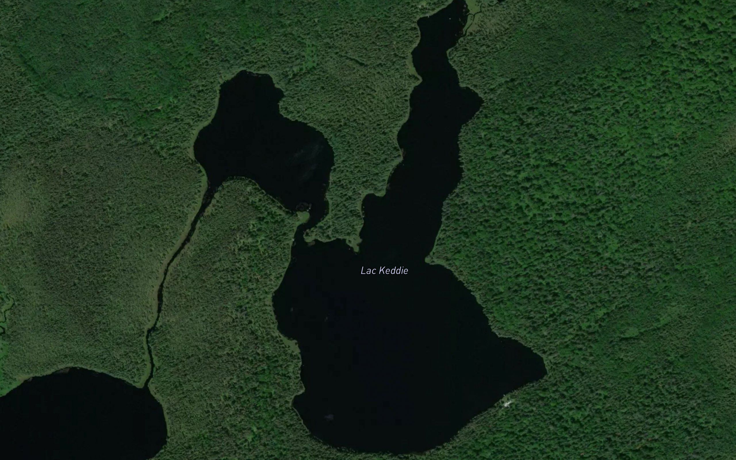Lac Keddie