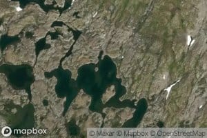 Skaltjornane