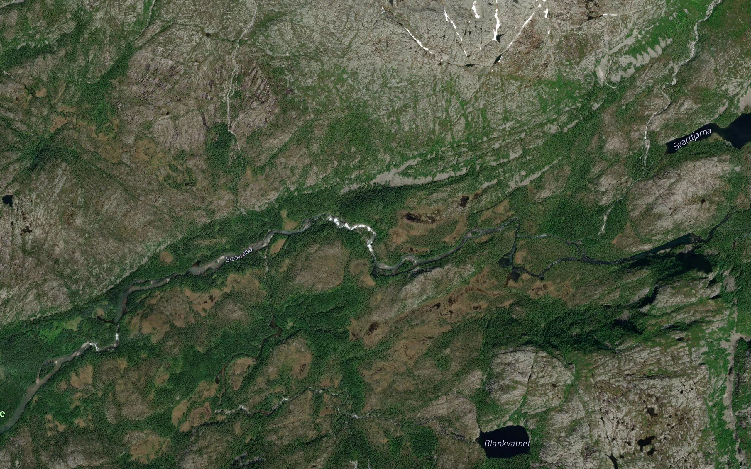 Fallforsen
