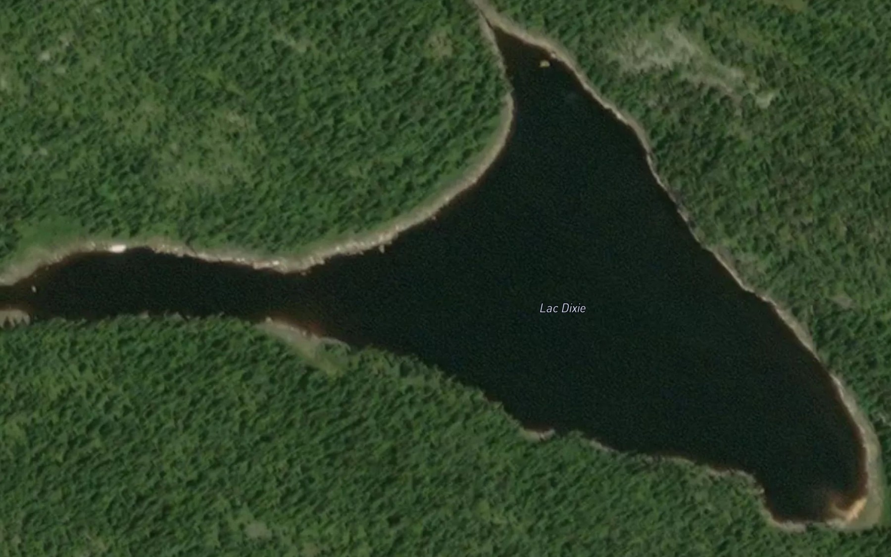 Satellite map of the Lac Dixie