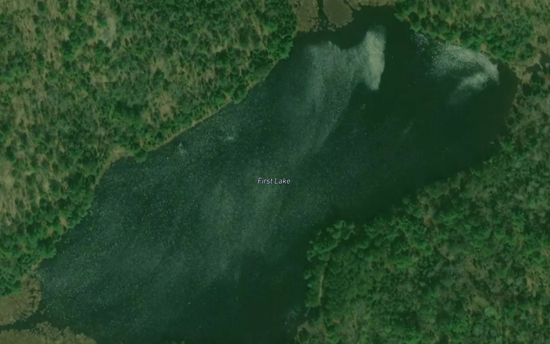 Satellite map of the First Lake