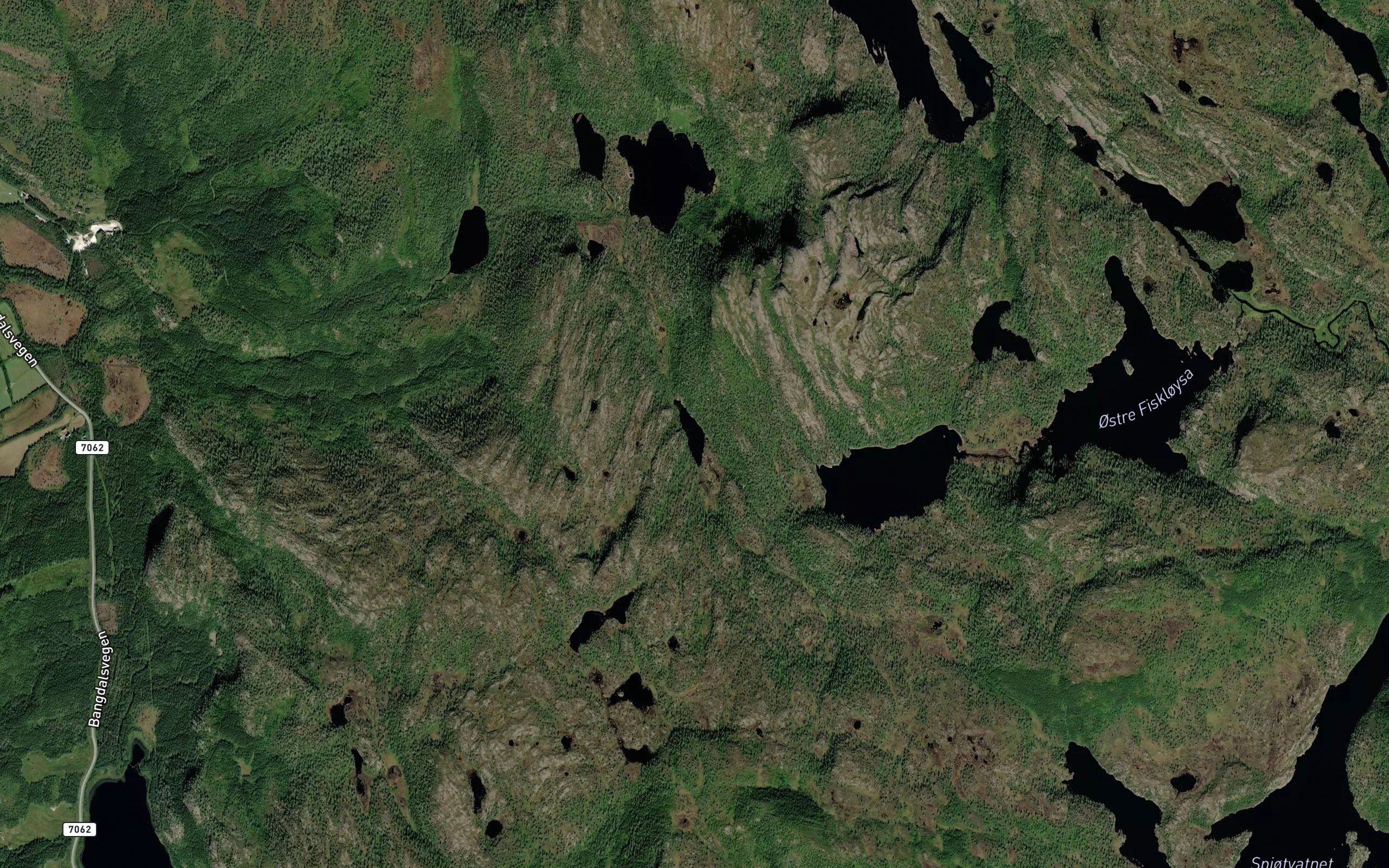 Kvenntjonna