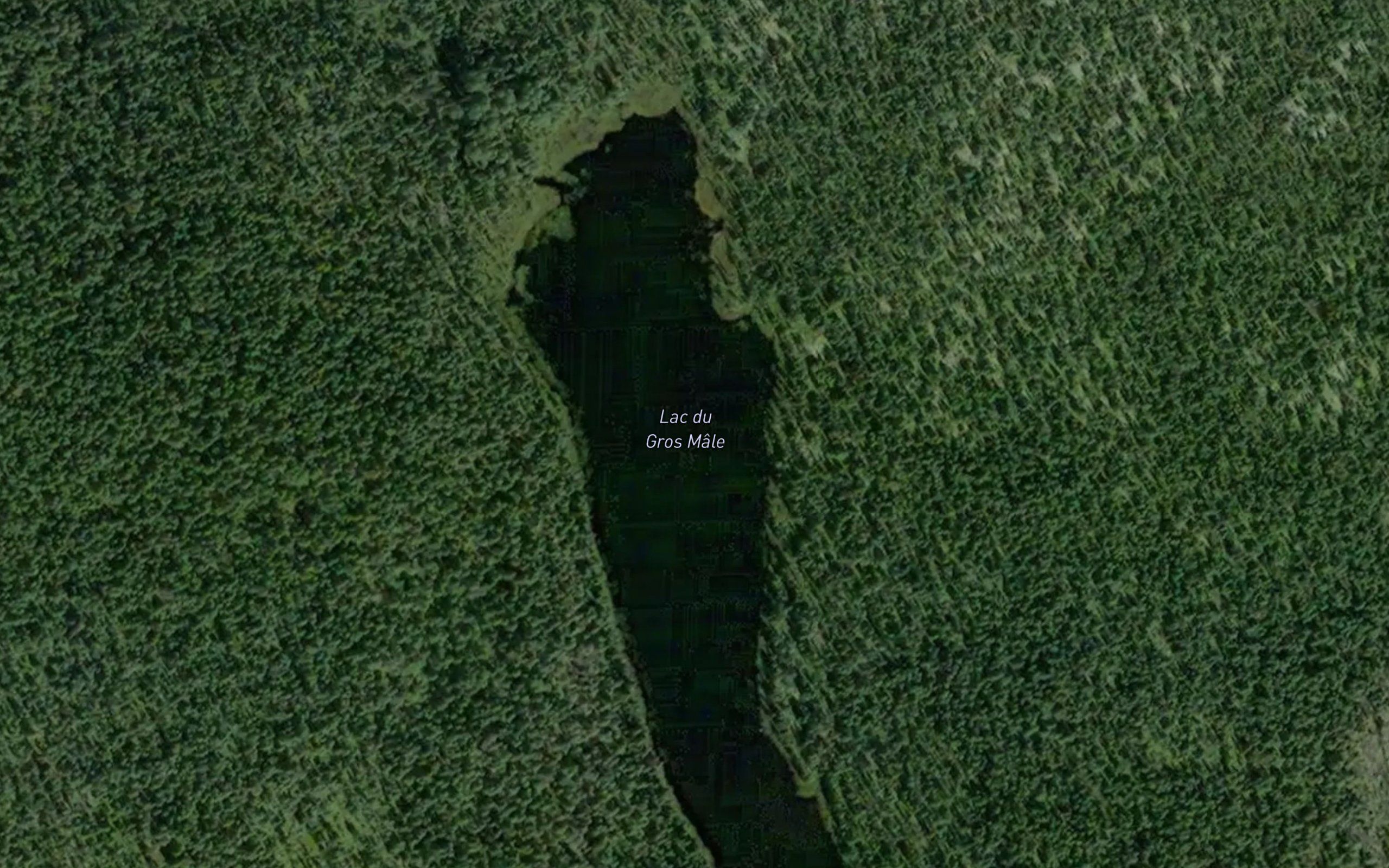 Lac du Gros Male