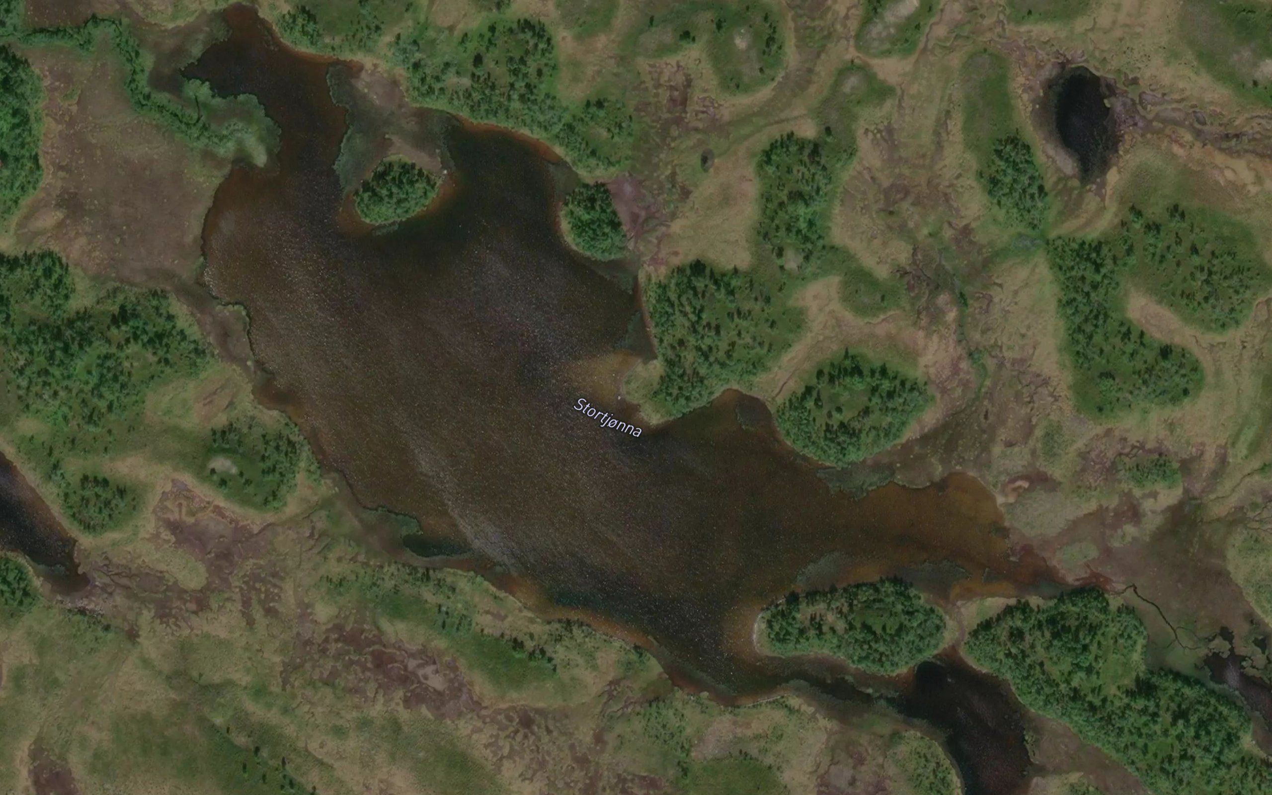 Stortjorna