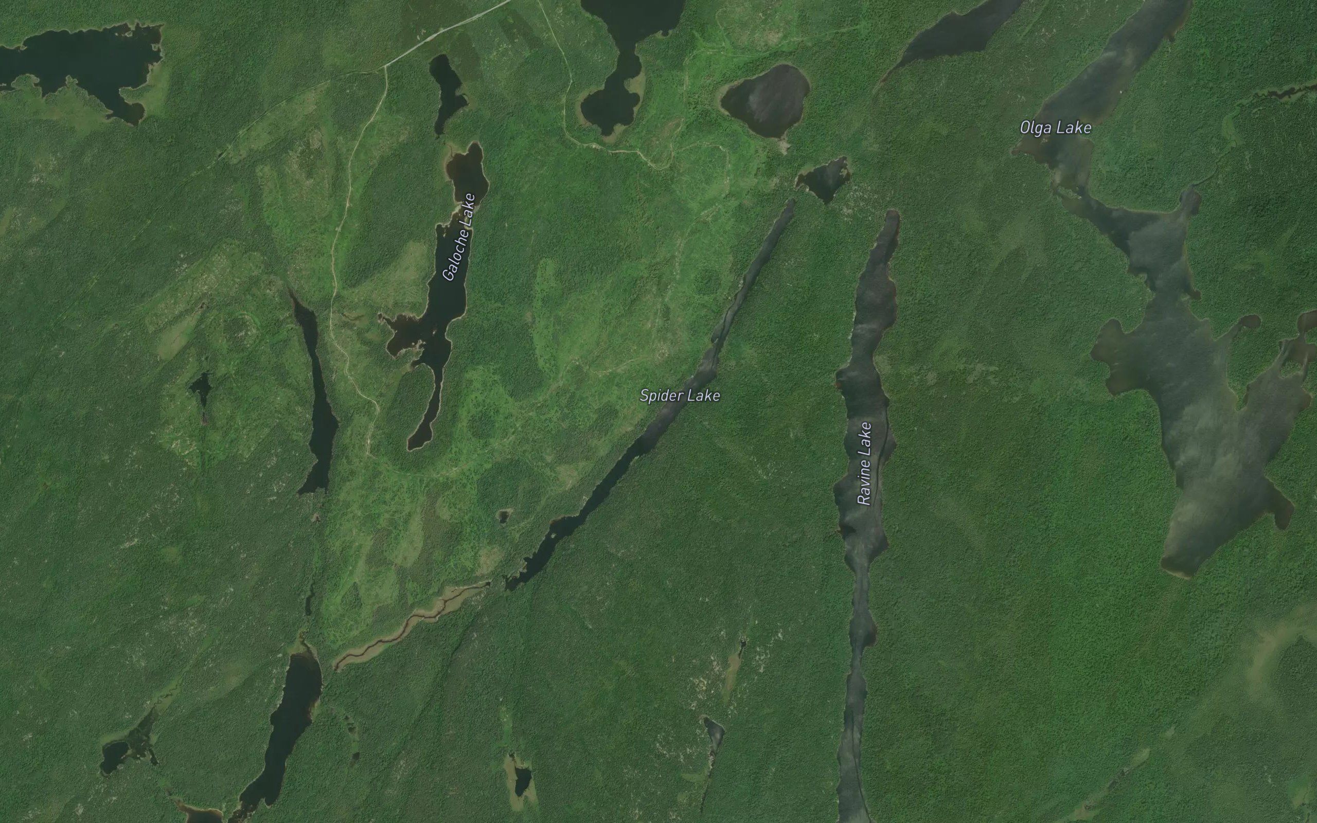 Spider Lake