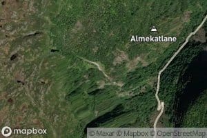 Alkjosgrovi