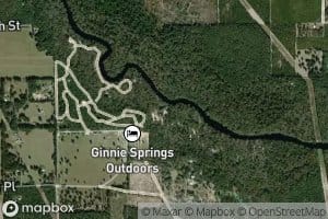 Ginnie Spring