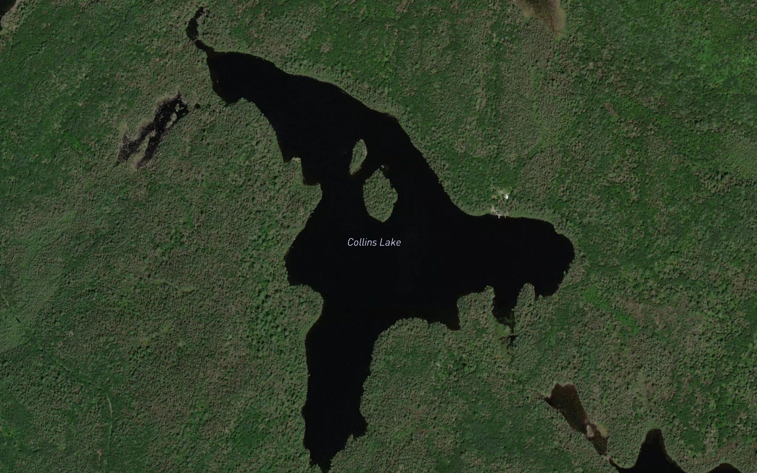 Collins Lake