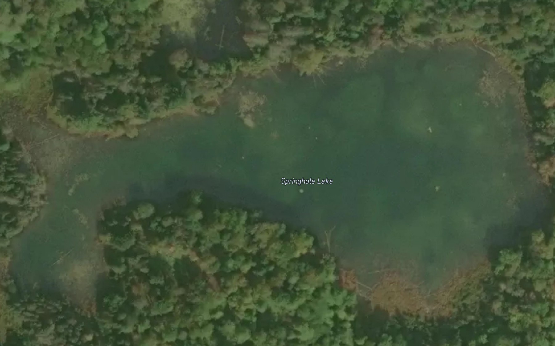 Satellite map of the Springhole Lake
