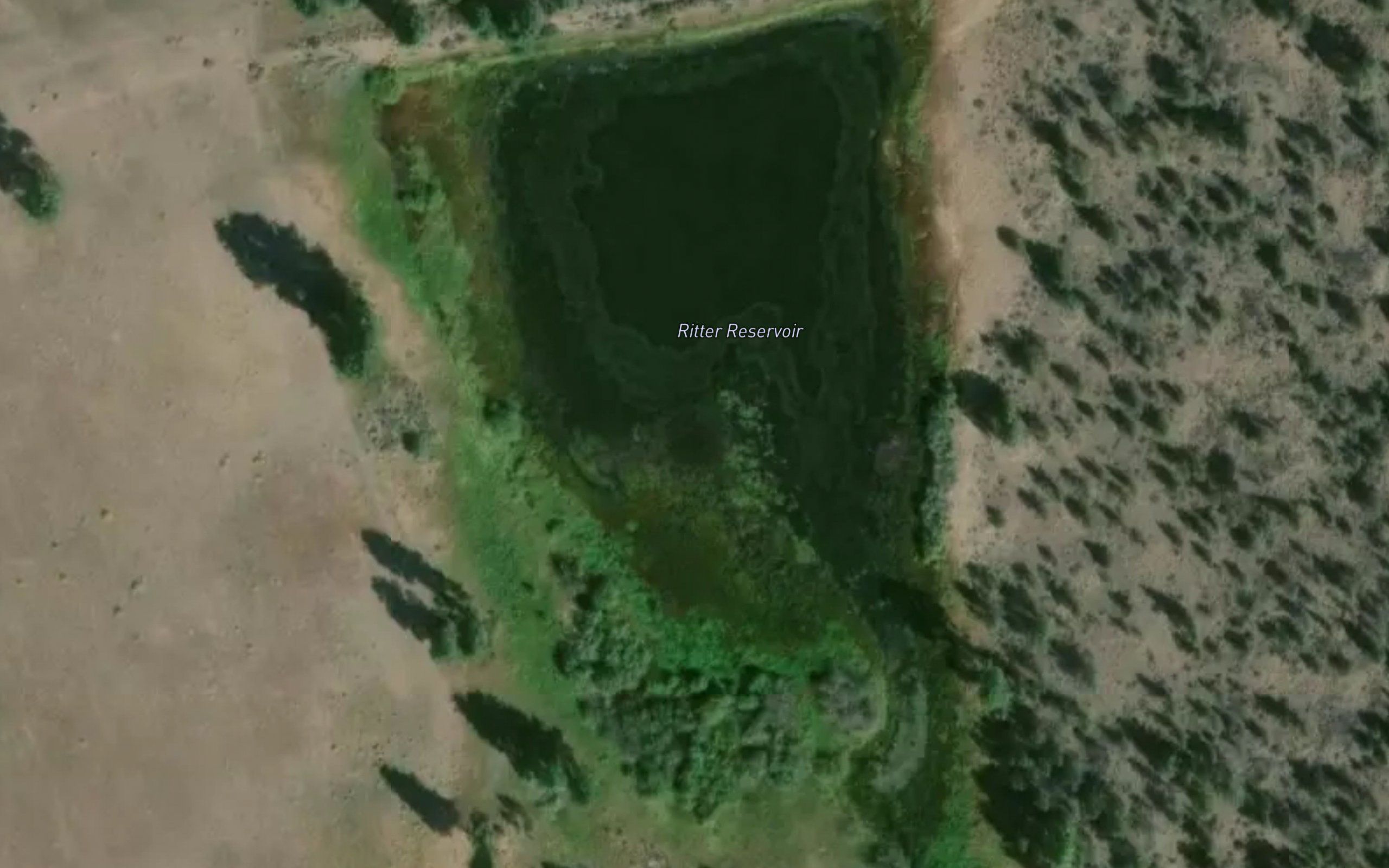Ritter Reservoir
