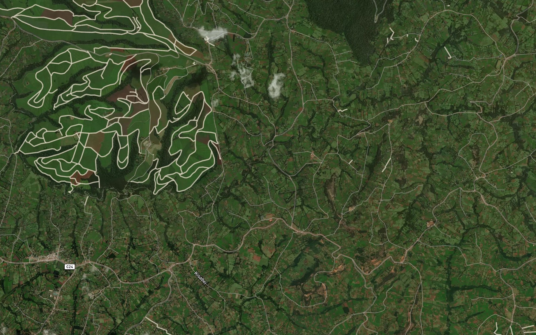 Satellite map of the Elephant Pool