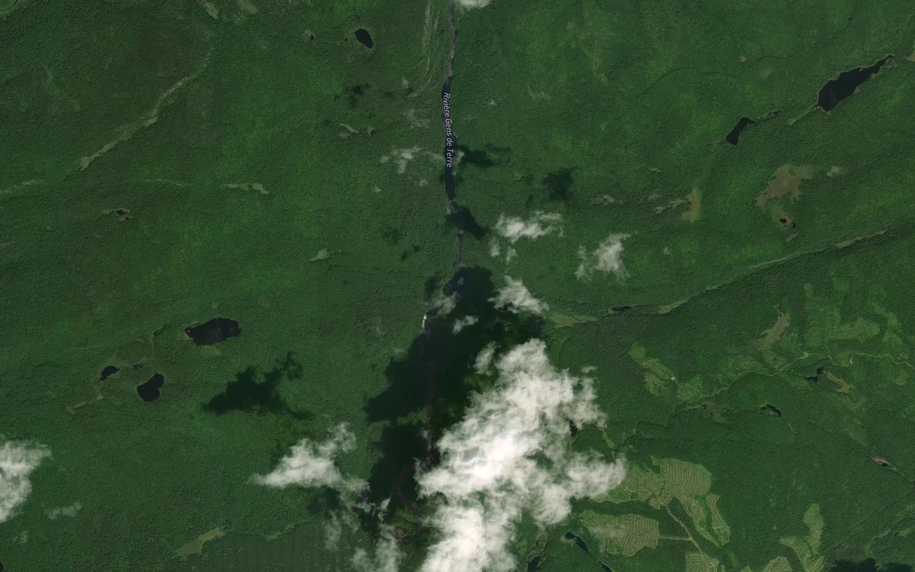 Satellite map of the Rapides Narcisse