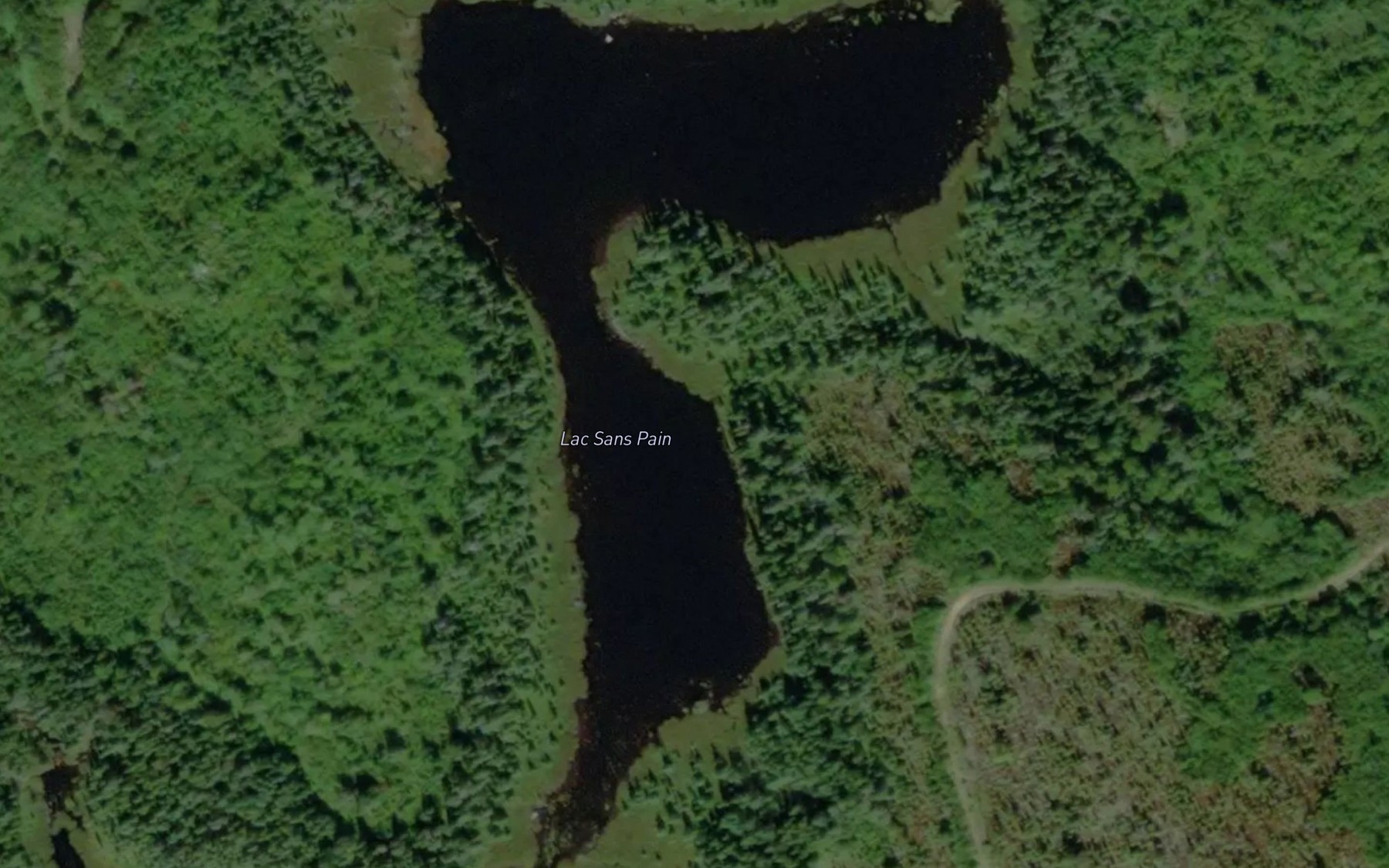 Satellite map of the Lac Sans Pain