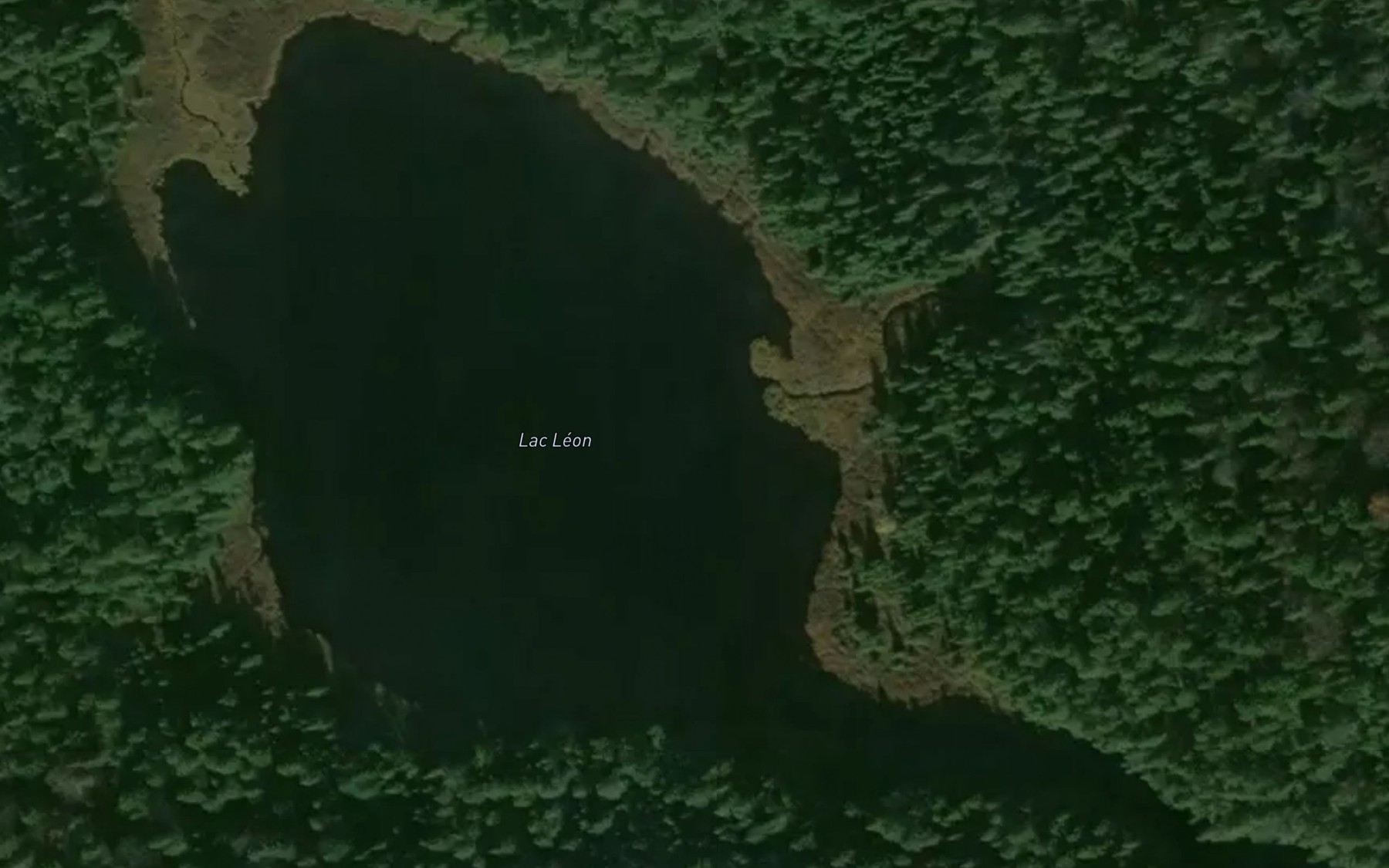 Satellite map of the Lac Leon