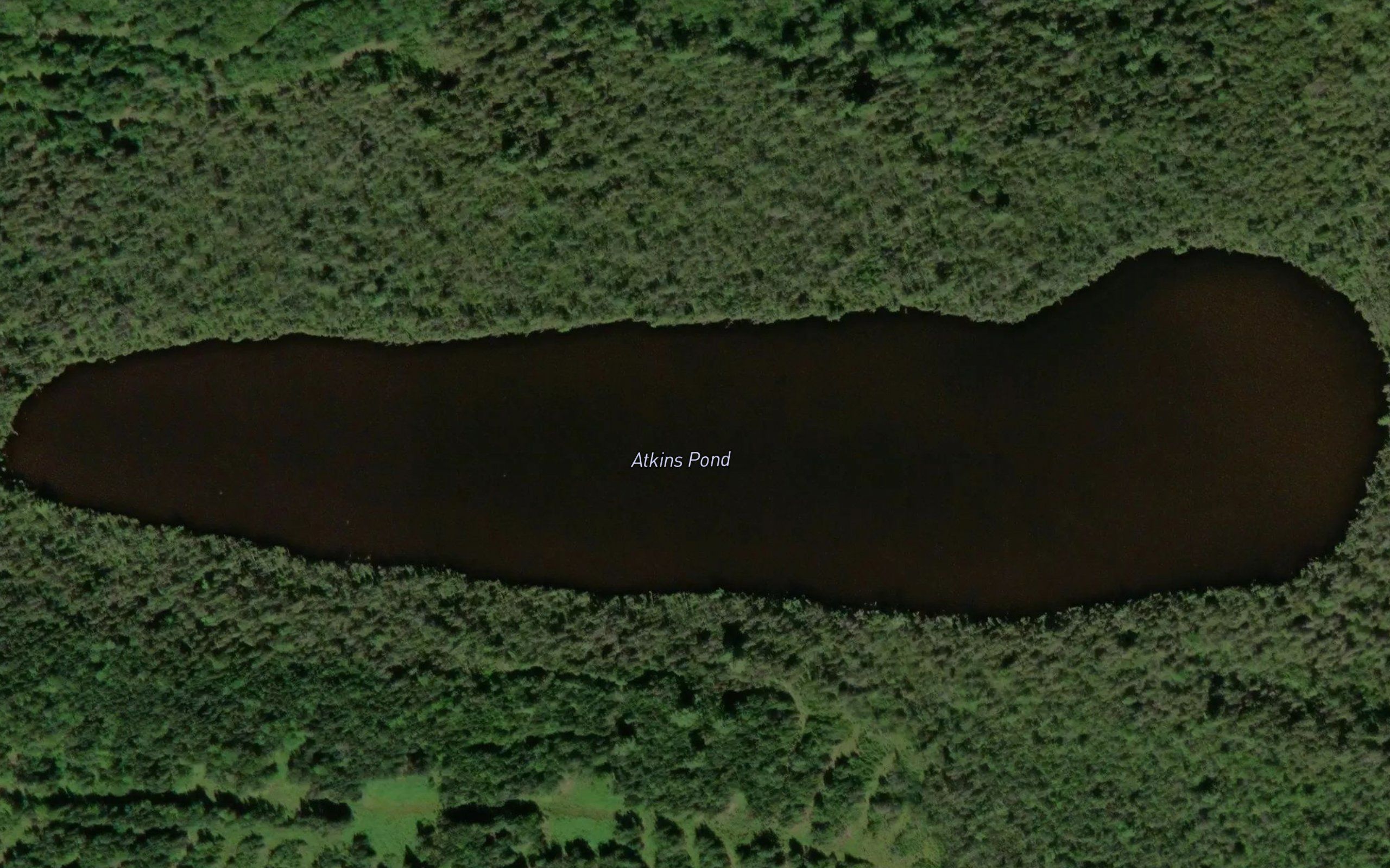 Atkins Pond