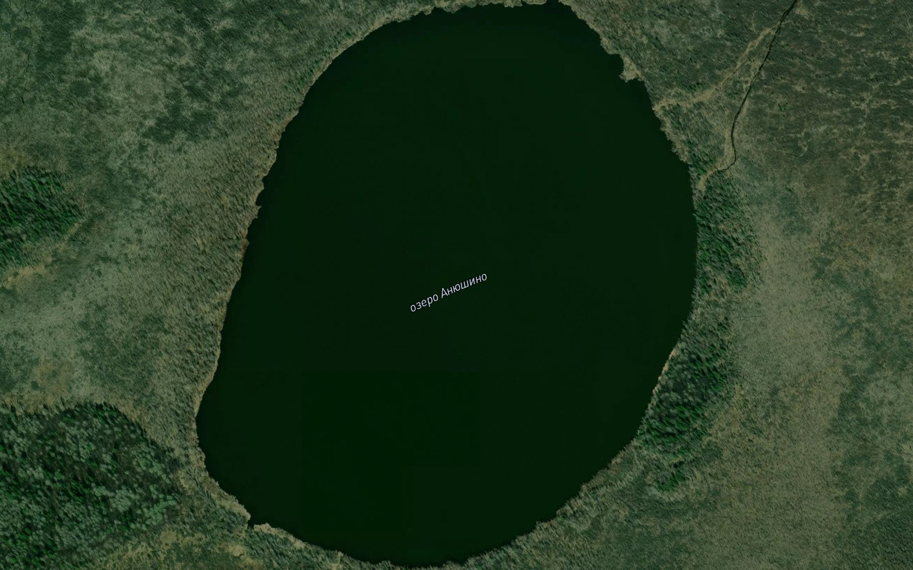 Satellite map of the Ozero Anyushino