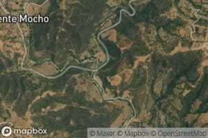 Salado