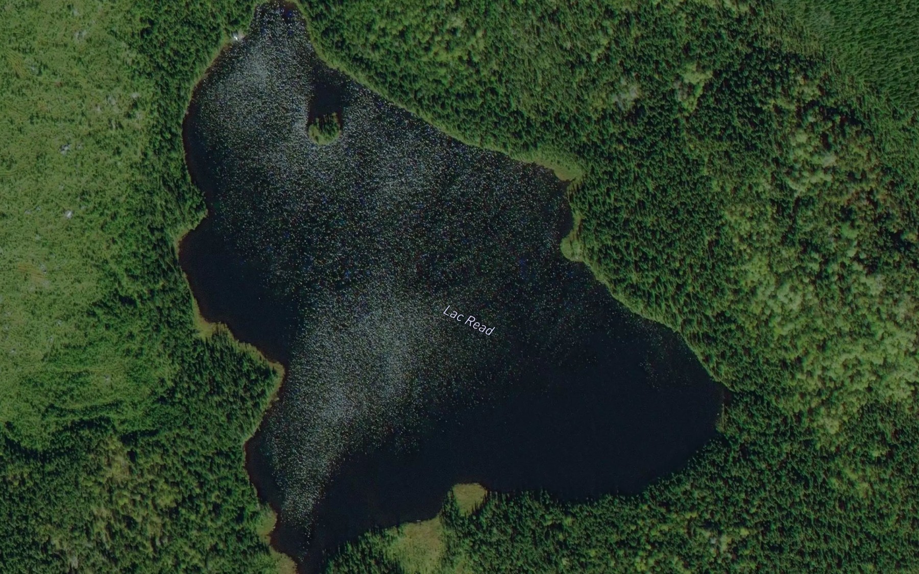 Satellite map of the Lac Read