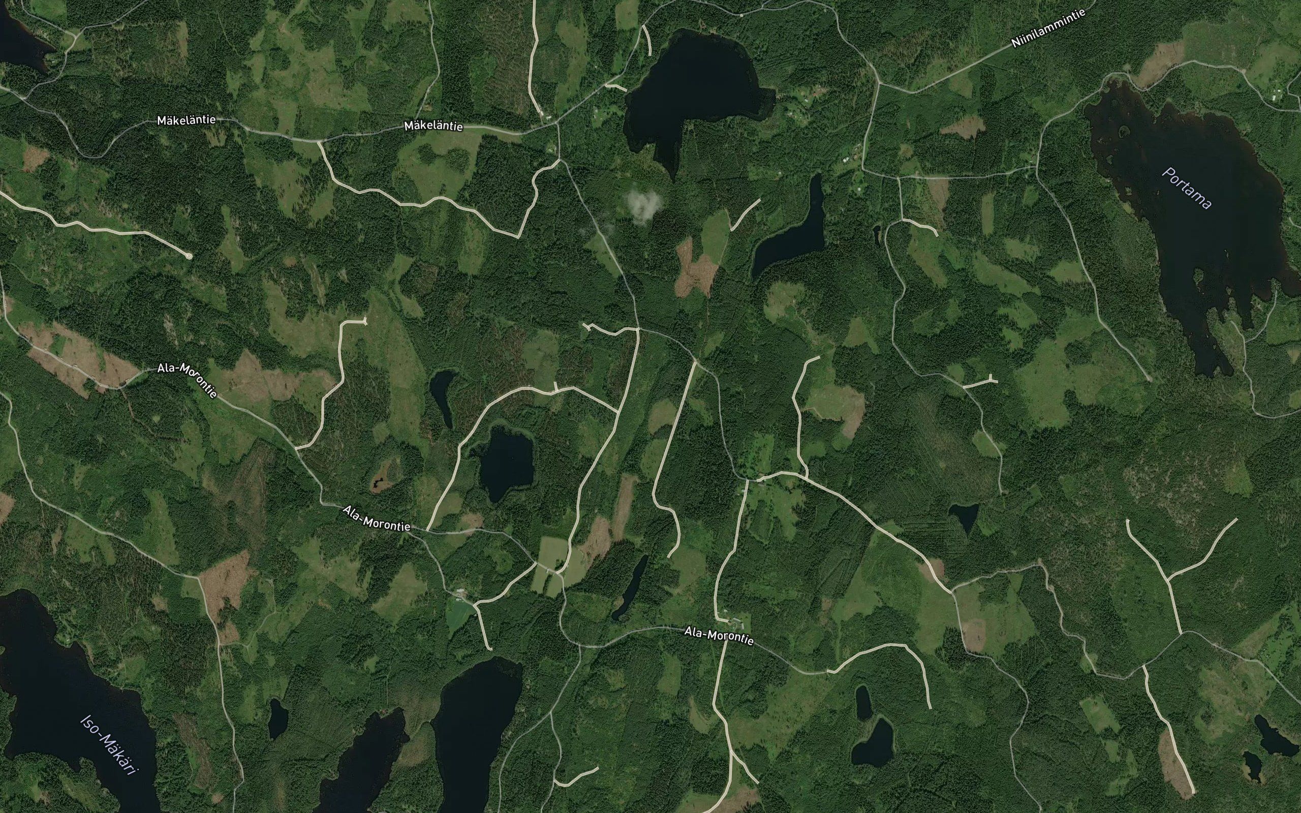 Koiralamminoja