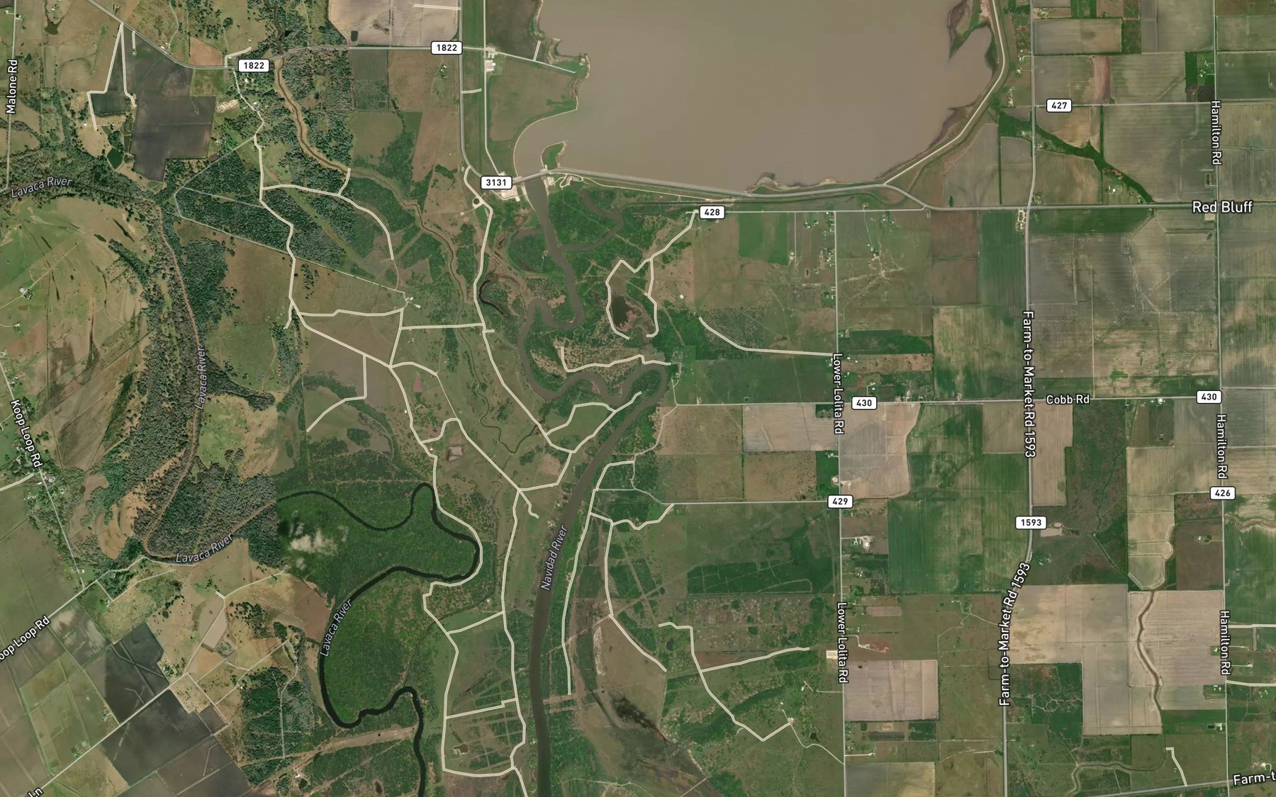 Satellite map of the Palmetto Bend