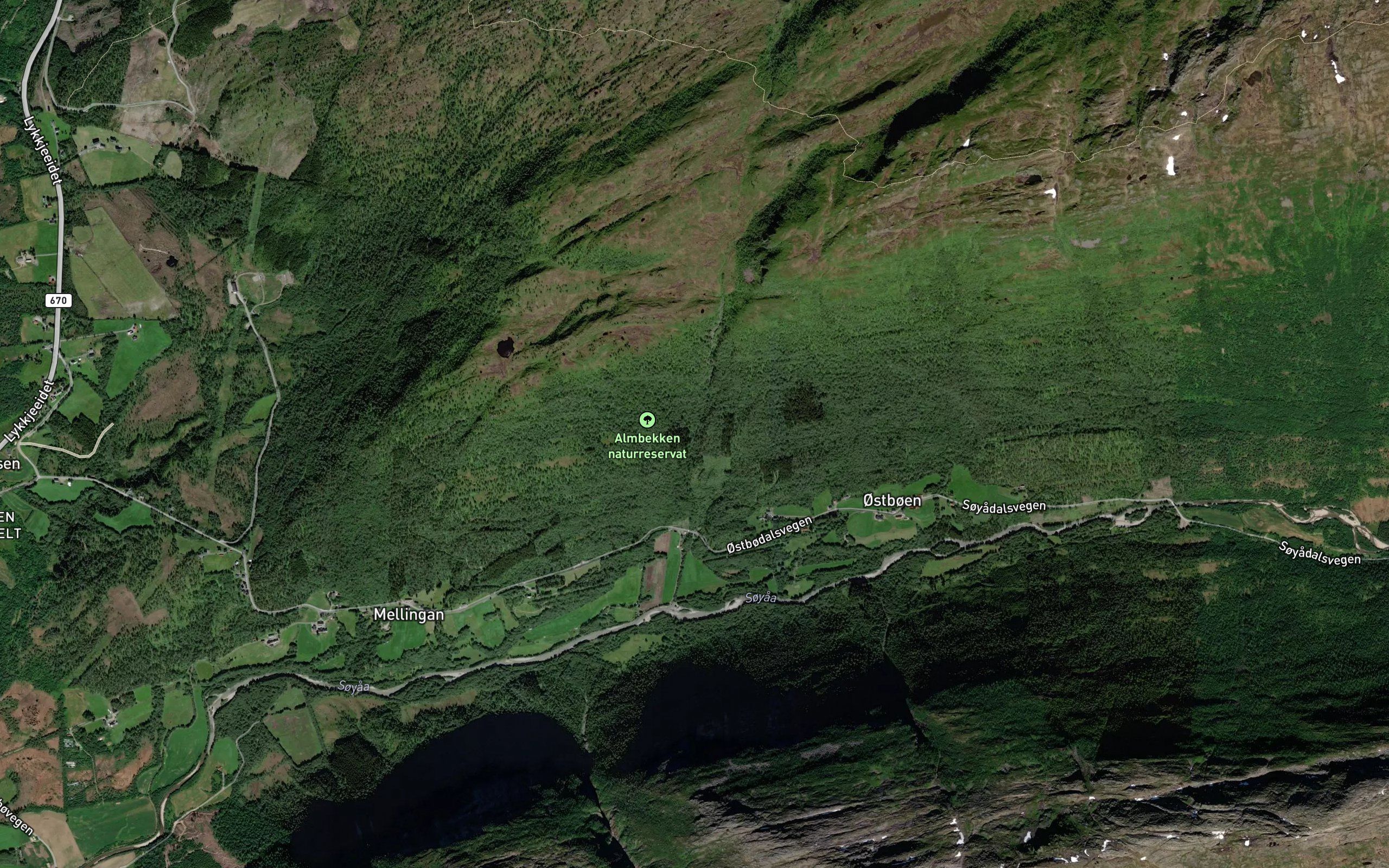 Almbekken