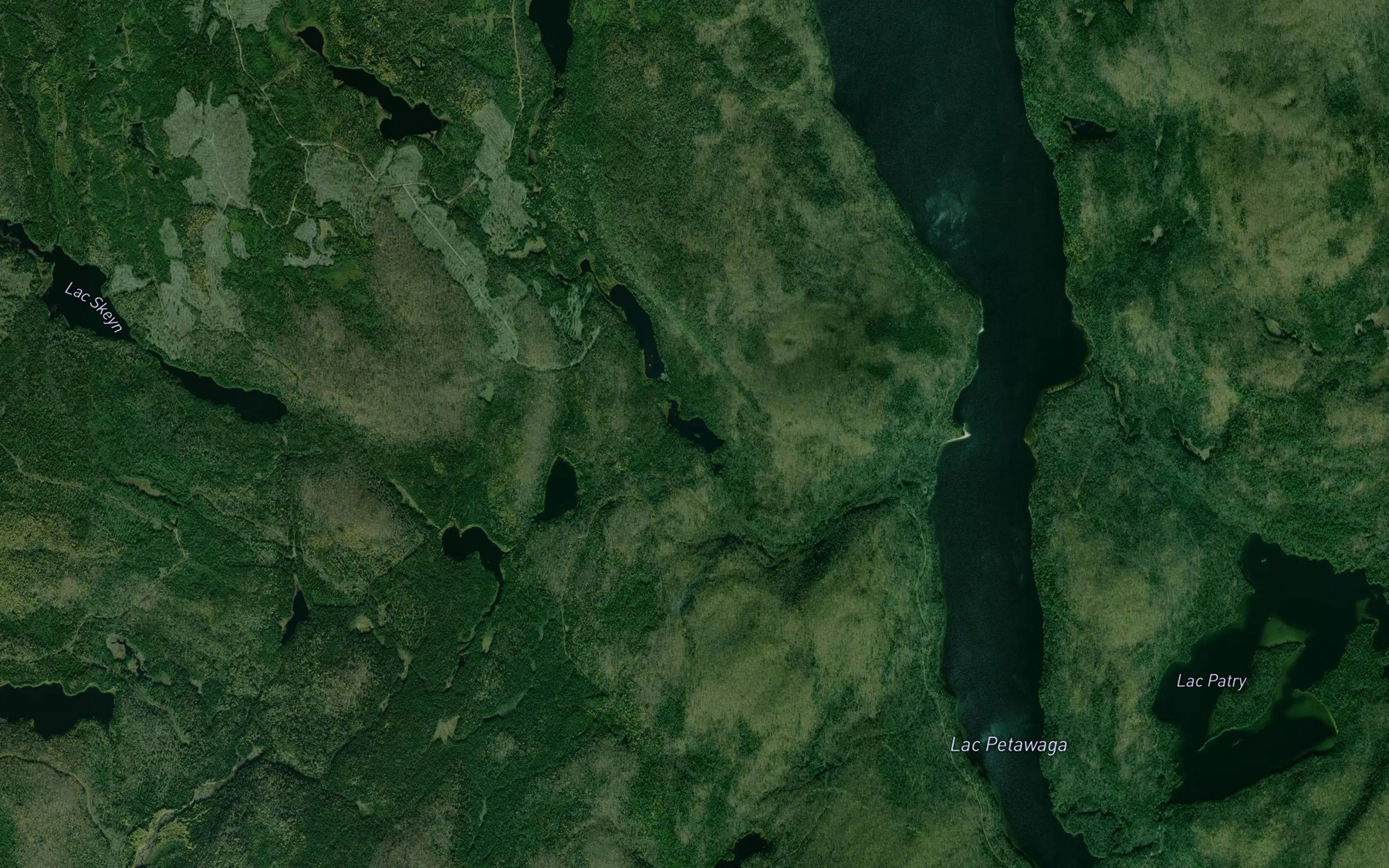 Satellite map of the Lac Alto