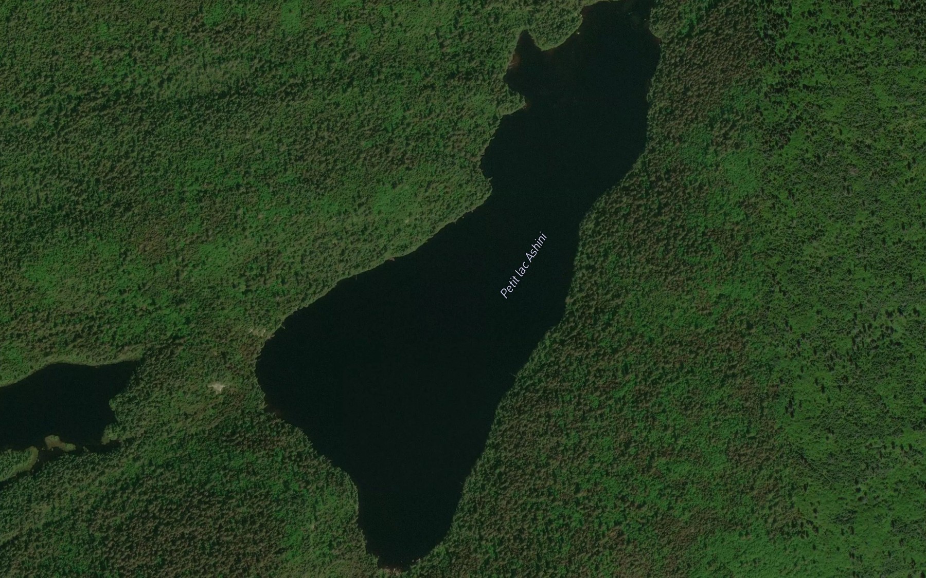 Satellite map of the Petit lac Ashini