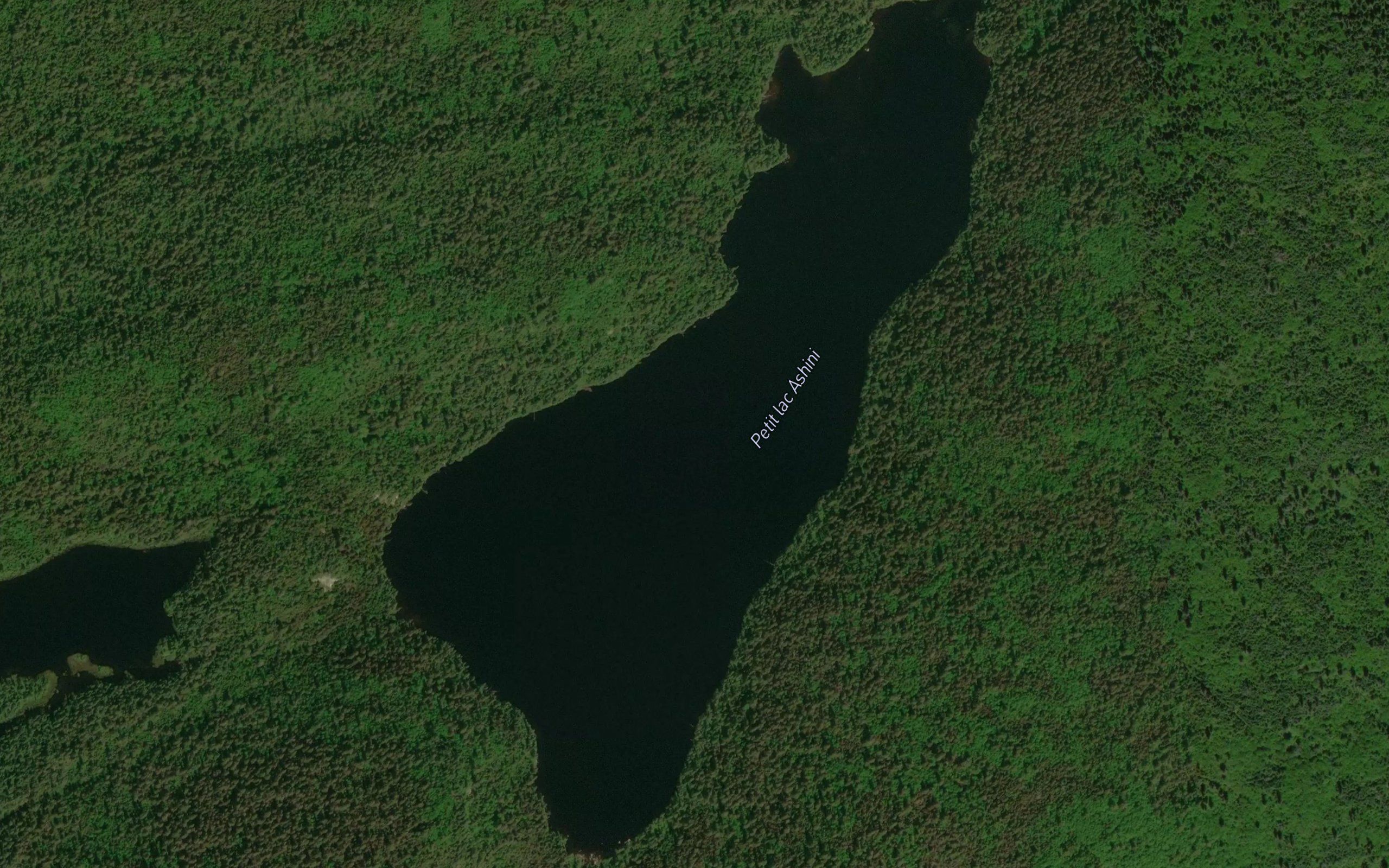 Petit lac Ashini