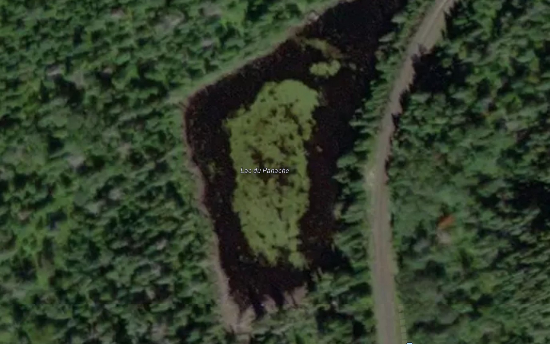Satellite map of the Lac du Panache