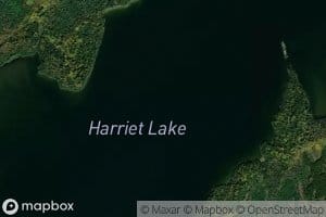 Harriet Lake