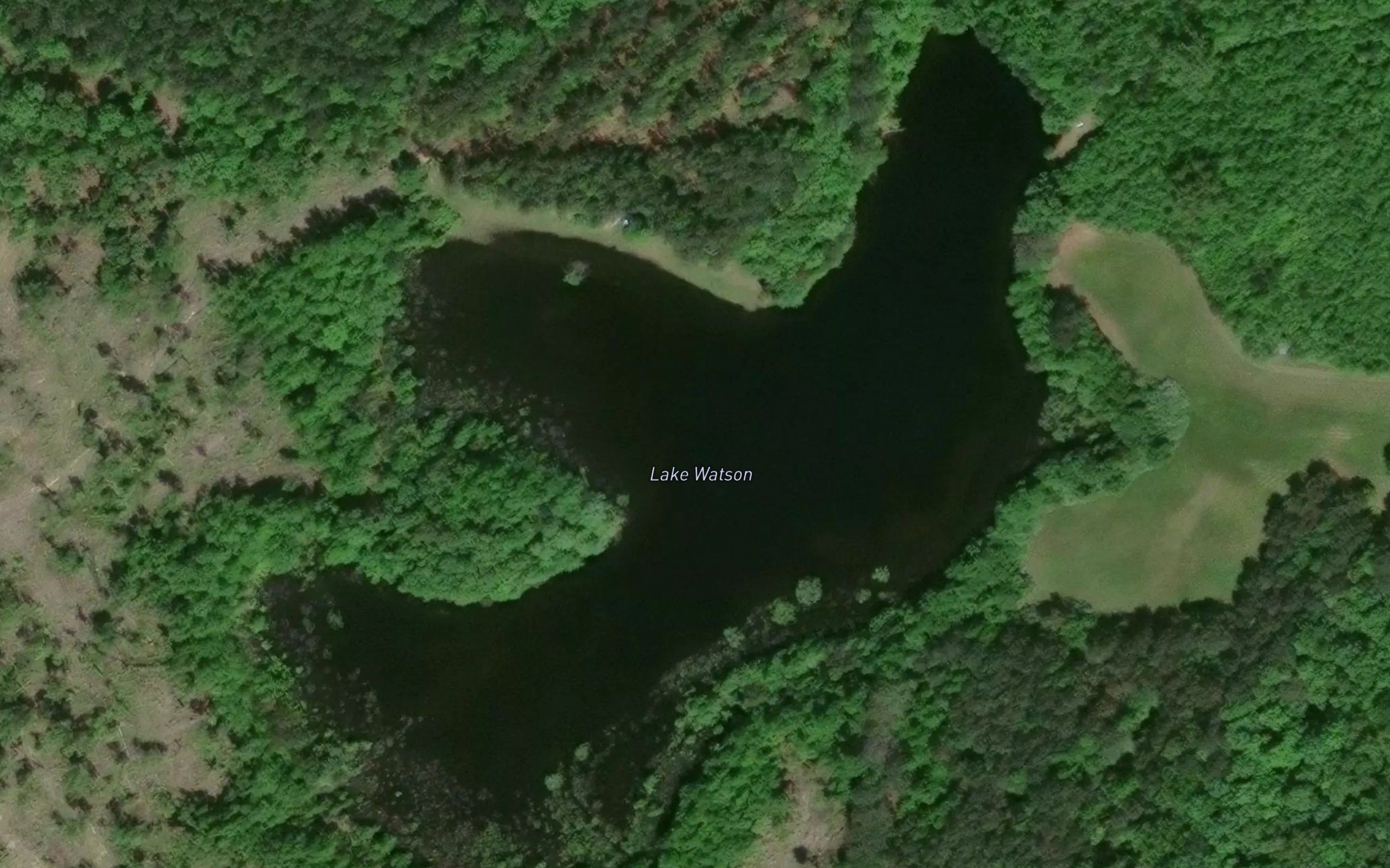Lake Watson