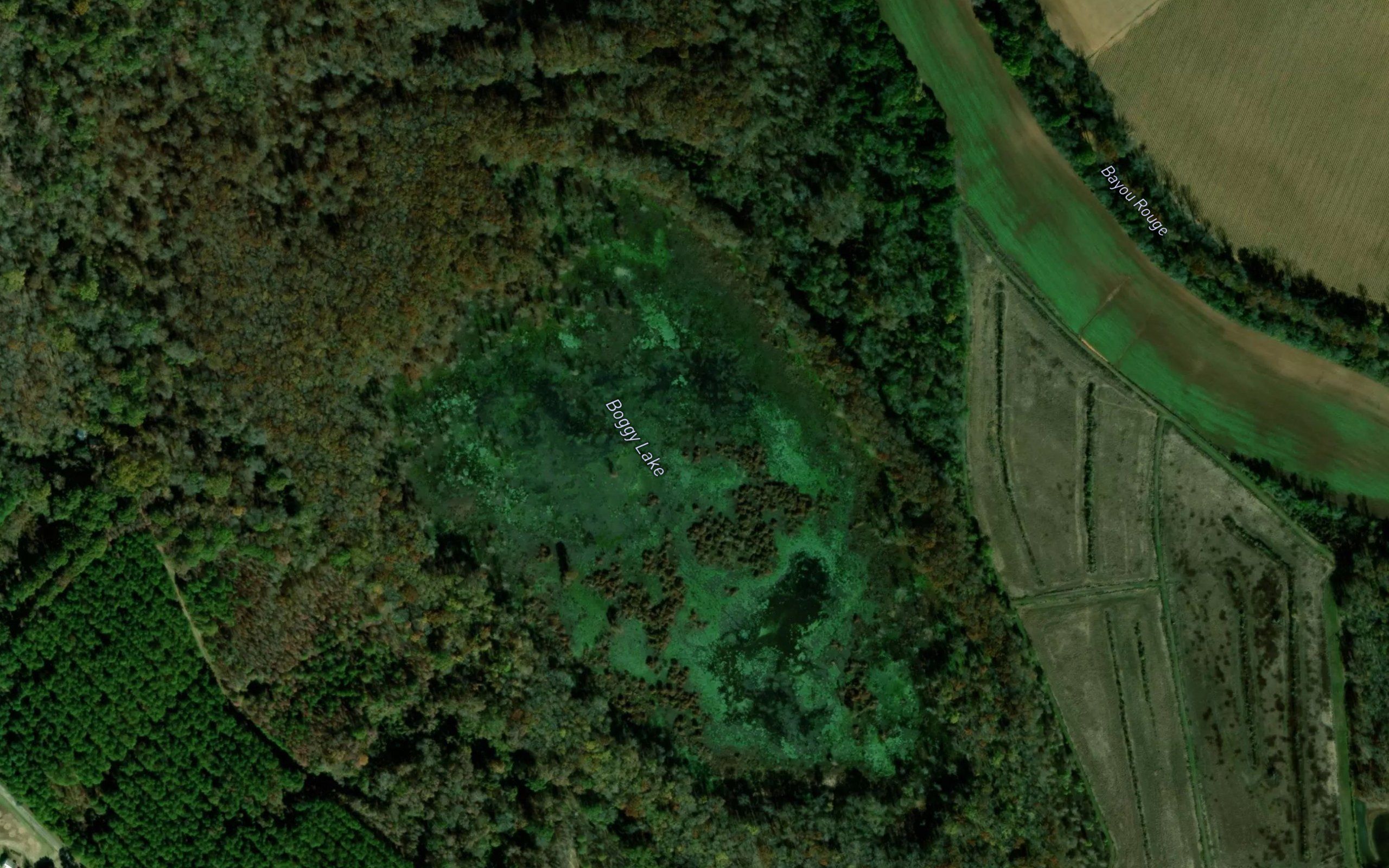Boggy Lake