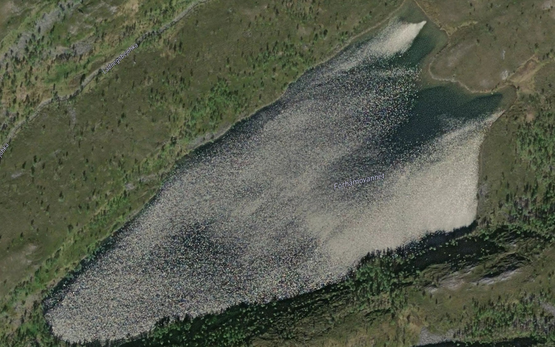 Satellite map of the Forhamovatnet