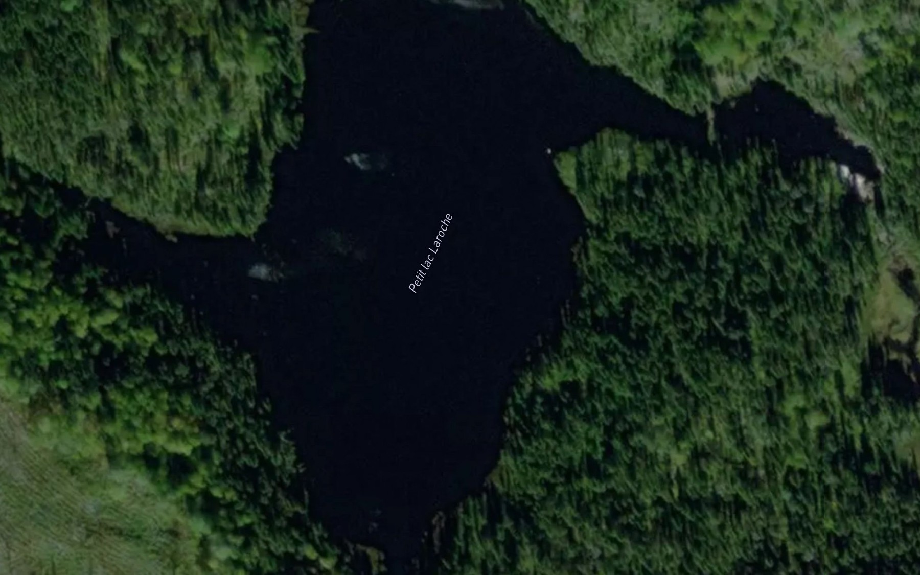 Satellite map of the Petit lac Laroche